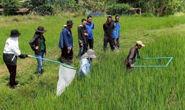 เมล็ดพันธุ์คุณภาพดี ลดต้นทุน เพิ่มผลผลิต ตอบโจทย์ตลาดโลก