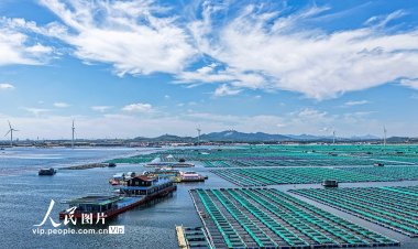 นักท่องเที่ยวแห่เข้าชมฟาร์มสัตว์น้ำในมณฑลซานตง ทางตะวันออกของจีน