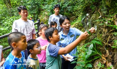 “เจียงซีจิงอัน” การวิจัยป่าไม้สำรวจความลึกลับของธรรมชาติ