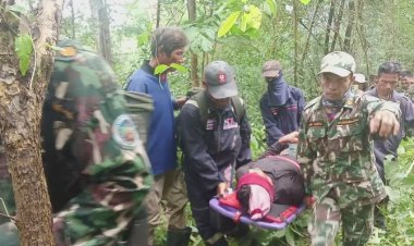 หนีตายระทึก!ช้างป่าห้วยขาแข้งคลั่งไล่กระทืบชาวบ้านหาเห็ดบาดเจ็บสาหัส 1