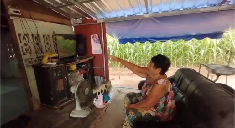 ยายกรีดร้องสุดตัว หลังหนุ่มหื่นบุกเข้ามุ้งตี 2 หวังทำไม่ดีไม่ร้าย