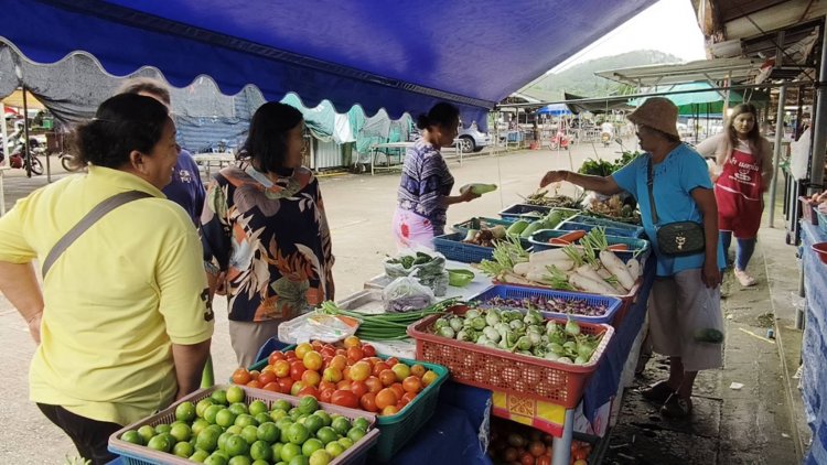 คนพังงานขานรับ "คนละครึ่ง"กระตุ้นเศรษฐกิจ-ฟื้นกำลังซื้อ