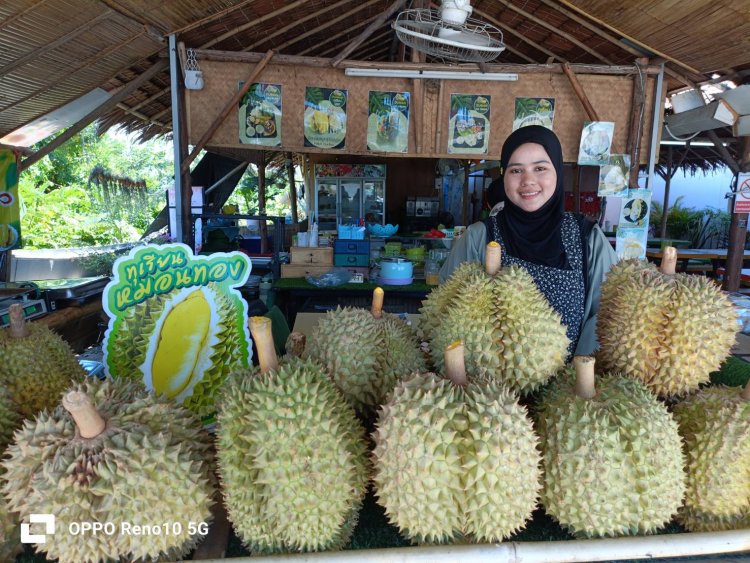 ร้านทุเรียนหมอนทอง “ชามิล ชายัง” ของดีเมืองตานี มีไอศครีมสูตรเด็ด
