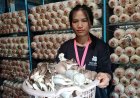 สาวโรงงานปราจีนบุรีเพาะเห็ดขายอาชีพเสริมสร้างรายได้วันละ 400 บาท