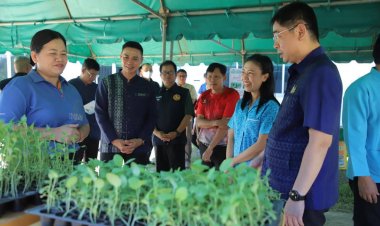 "สส.ปั้น" พร้อม"รักษาการผู้ว่าฯ ตาก ร่วมจัดกิจกรรมฟื้นฟูพืชผลหลังประสบอุทกภัย