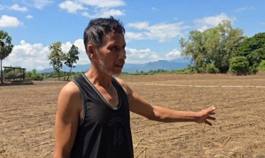 เกษตรกรหล่มสักหัวใจแกร่ง! ‘เร่งฟื้นสวนผัก’ หลังพืชผลจมน้ำเน่าเสียเกือบหมด