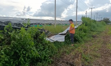 ไอ้งาบิดช้างป่าเขาอ่างฤาไนข้ามฝั่งแปดริ้วมาหากินไกลถึงปราจีนฯบุกพังรั้วฟาร์มหมู2คืนติด