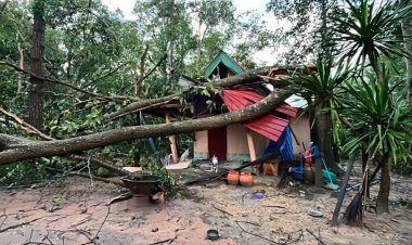 ชายแดนสุรินทร์อ่วม!พายุถล่ม ต้นไม้โค่น-หลังคาปลิวว่อน บ้านเรือน-กุฏิพระพังยับ