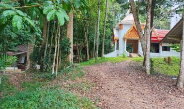 “วัฒนธรรม 2 ศาสนา พุทธ-มุสลิม” ต้นแบบพหุสังคมที่ลึกซึ้งสังคมไทย จ.พัทลุง