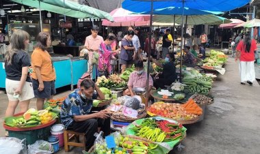 กรมการค้าภายในรับประกันราคาผักกินเจปีนี้ถูกลงไม่ต้องกังวลขาดตลาด