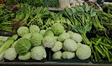 ผักแพง-เศรษฐกิจทรุด! พ่อค้าแม่ค้าโอด กินเจปีนี้ยอดขายหด วัตถุดิบพุ่งไม่หยุด