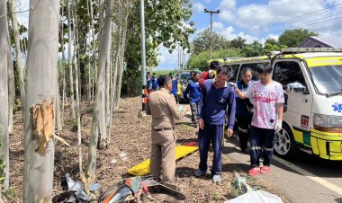 สลด!ลุงขับจยย.ชนต้นยูคาลิปตัสหัวกระแทกเสียชีวิตคาที่