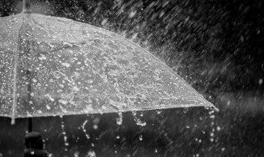 อิทธิพลพายุ "เฟิงเฉิน"22-23 ต.ค.ภาคใต้รับมือ ฝนตกหนักถึงหนักมาก