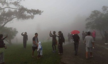 เลยหนาวแล้ว! 15 องศา นทท.แห่ขึ้นยอดภูเรือ รับลม ชมทะเลหมอก