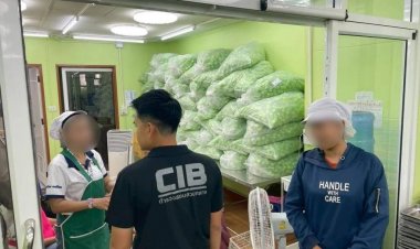 ปคบ.-อย.บุกค้นโรงงาน "หงส์ไทย" พบไม่มีใบอนุญาต ยึดยาดม 2.35 ล้านชิ้น มูลค่า 100 ล้าน