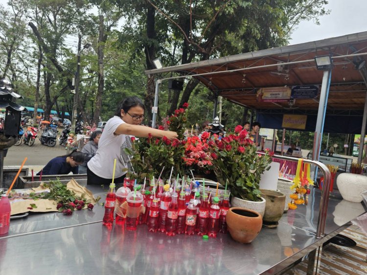 ครูผู้ช่วยแก้บนปู่ท้าวเวชสุวรรณวัดประทุมบูชาด้วยเก้าอีแดง