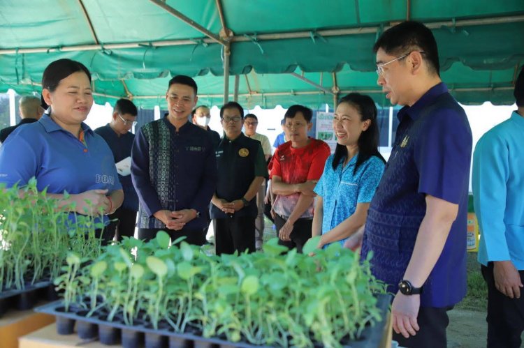 "สส.ปั้น" พร้อม"รักษาการผู้ว่าฯ ตาก ร่วมจัดกิจกรรมฟื้นฟูพืชผลหลังประสบอุทกภัย