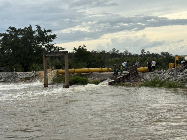 พายุบัวลอยฝนถล่มน้ำ"ห้วยสำราญ"เอ่อล้นจมนาข้าวศรีสะเกษ 2.7 พันไร่