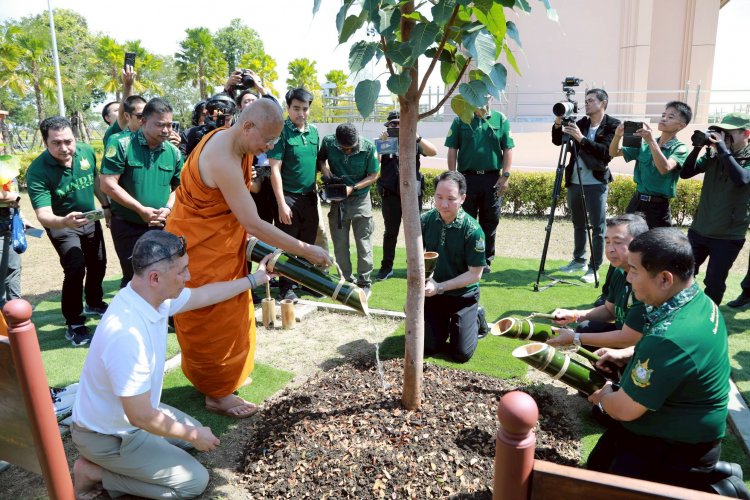 กรมป่าไม้จัดงานวันรักต้นไม้ปี'68 สานต่อแนวคิด "ธรรมะและธรรมชาติ"ร่วมบำรุงดูแลต้นโพศรีมหาโพธิ