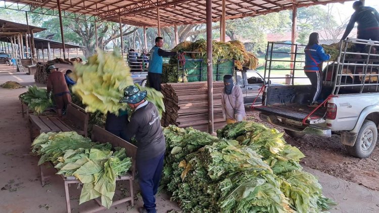 เศรษฐกิจติดหล่ม: เร่งเครื่องกระตุ้นแค่ระยะสั้น แต่ลืมเติมน้ำมันระยะยาว