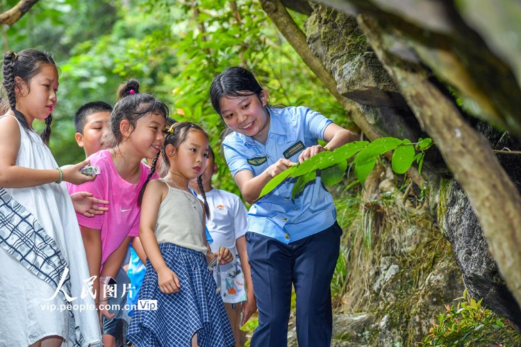 เยาวชนจีน ร่วมค่ายฤดูร้อนศึกษาธรรมชาติในอำเภอจิ้งอัน