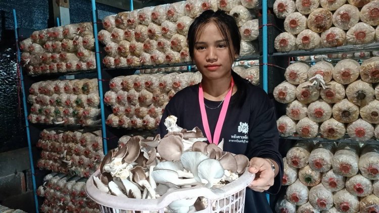 สาวโรงงานปราจีนบุรีเพาะเห็ดขายอาชีพเสริมสร้างรายได้วันละ 400 บาท