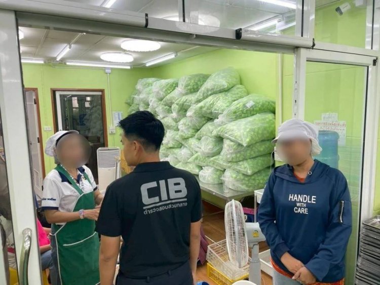 ปคบ.-อย.บุกค้นโรงงาน "หงส์ไทย" พบไม่มีใบอนุญาต ยึดยาดม 2.35 ล้านชิ้น มูลค่า 100 ล้าน