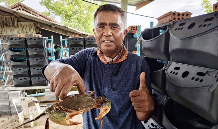 พลิกบ่อกุ้งร้างเลี้ยง"ปูขาว"สัตว์เศรษฐกิจตัวใหม่ ตอบโจทย์ตลาด สร้างรายได้มั่นคง