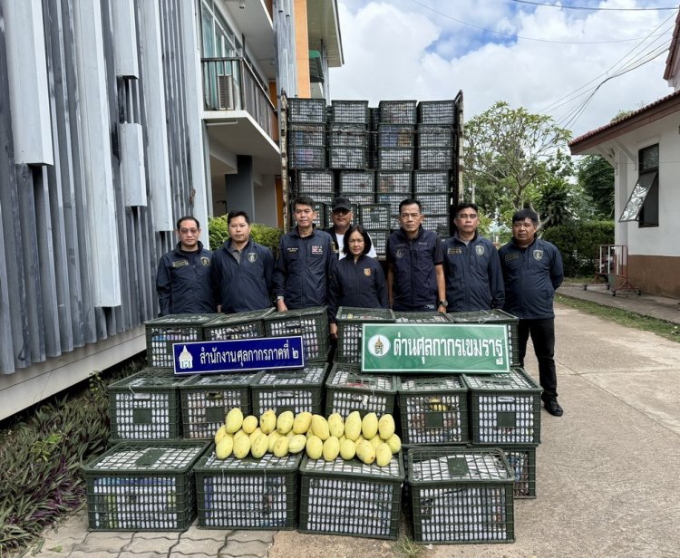ศภ.2 สกัดจับ "มะม่วงหนีภาษี"กลางเมืองมุกดาหารกว่า 10 ตันมูลค่า 3.8 แสนบาท