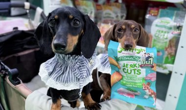 'เจอร์ไฮ - จินนี่' ขับเคลื่อนแบรนด์ไทยสู่เวทีโลก ด้วยนวัตกรรมและคุณภาพอาหารสัตว์เลี้ยงระดับพรีเมียม