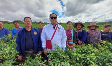 “นายกเคี้ยง  พรรคกล้าธรรม” ลุยแก้ปัญหาพริกตกต่ำ แนวโน้มราคาพุ่ง