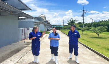 สองมือสร้างฟาร์มหมูหมื่นตัว “ชนิสราฟาร์ม” สำเร็จบนเส้นทางคอนแทรคฟาร์มมิ่ง