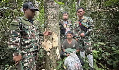 รวบแก๊งลอบตัดไม้หอมบนอุทยานฯเขาใหญ่พร้อมของกลาง