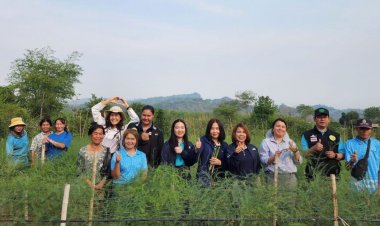 ปี'69ลุยยกระดับ "1 ท้องถิ่น 1 สินค้าเกษตรมูลค่าสูง"เพิ่มเป็น 200 ท้องถิ่น