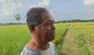 ชาวนาสีคิ้วโอดข้าวหอมมะลิเหลือกก.ละ5.40บาทขาดทุนยับวอนรัฐพยุงราคา