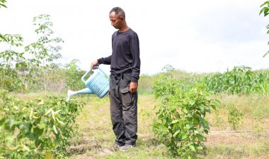 "สายชล พรมนุ้ย"สืบสานพระราชปณิธาน"พระพันปีหลวง"ทำเกษตรครบวงจรต้นแบบชุมชน