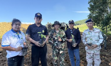 น่าน – ทุกภาคส่วนร่วมมือ “ขยายผลต้นแบบปลูกป่า 3 อย่าง ประโยชน์ 4 อย่าง เพื่อฟื้นฟูป่าต้นน้ำน่าน ตามพระราชปณิธาน พระบาทสมเด็จพระเจ้าอยู่หัว”