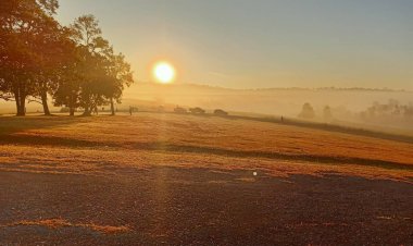 ชัยภูมิหนาวสุด! ตามรอย 'พระพันปีหลวง' ทุ่งกระมังอวดโฉม "ซาฟารีเมืองไทย" นักท่องเที่ยวแห่ส่องสัตว์หายาก