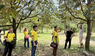 “พืชผลทางการเกษตร” ไทย-กัมพูชา วิกฤติ ราคาตกต่ำไม่แพ้กัน