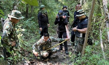 จนท.แม่สอด แกะรอยไล่ล่าเสือแจ้งเตือนชาวบ้านห้ามเข้าป่า