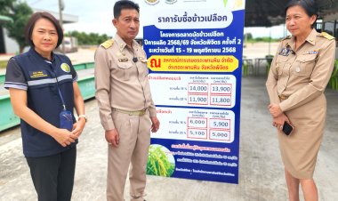 ผู้ว่าฯพิจิตรตรวจเข้มตลาดนัดข้าวเปลือกราคาข้าวหอมมะลิขยับขึ้น400บาทตันเน้นย้ำชาวนาขายต้องได้เงินสด