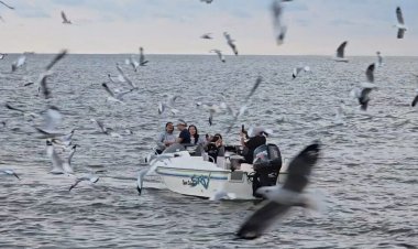 นกนางนวลคืนถิ่น "ดอนหอยหลอด"เทศกาลท่องเที่ยวปลายปีที่แม่กลอง