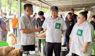 ปศุสัตว์ชัยภูมิ จัดเต็ม! ลงพื้นที่ภูเขียว ผ่าตัดทำหมันฟรี ควบคุมประชากรสุนัข-แมว