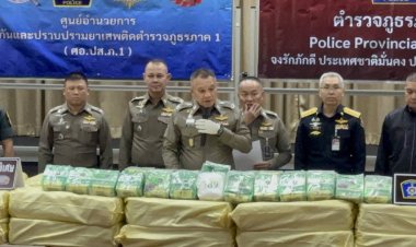 ภ.1 สกัดจับแก๊งขนผักซุกไอซ์เครือข่ายม้งกว่า 600กก.มูลค่าเกือบ 200 ล้านบาท