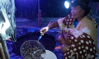 ภูมิปัญญาท้องถิ่น! เปิดเสียง-ไฟล่อ ดักแมงกระชอนหน้าบ้าน ขายทำรายได้ทุกคืน