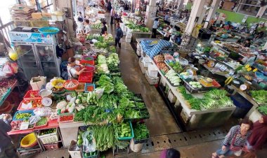 น้ำท่วมใต้เป็นเหตุ! ผักเบตง ‘พาเหรดขึ้นราคา’ ผักชีพุ่งทะยานกิโลกรัมละ 300 บาท