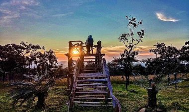 สุดฟิน 13 องศา! นักท่องเที่ยวแห่พิชิต 'ผาสุดแผ่นดิน'ชมทะเลหมอก-ดูพระอาทิตย์ 3 แผ่นดิน