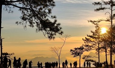 นักท่องเที่ยวแห่ชมทะเลหมอกภูกระดึง โต้ลมหนาว อุณหภูมิต่ำสุด 11.5 องศา