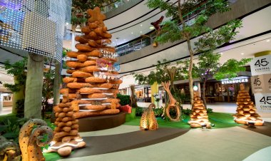 เซ็นทรัล โคราช เนรมิตต้นคริสต์มาส “ดินด่านเกวียน” ตกแต่งด้วยดอกกุหลาบควีนสิริกิติ์ 93 ดอกต้นเดียวในโลก