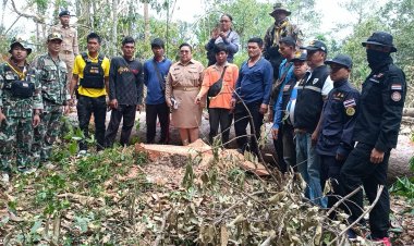 ป่าไม้ร่วมฝ่ายปกครองจับผู้ลักลอบตัดไม้ยางประกาศขายผ่านเฟซบุ๊ก-ผู้ต้องหาแจงไม้ที่ตัดมีเอกสารสิทธิ์